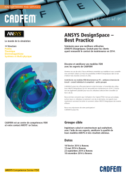 ANSYS DesignSpace – Best Practice