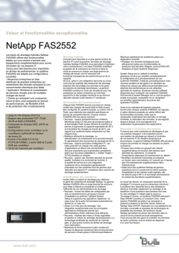 NetApp FAS2552