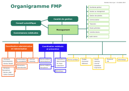Organigramme FMP