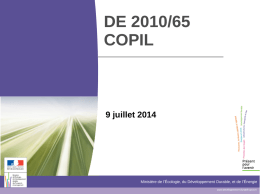 DE 2010/65 COPIL