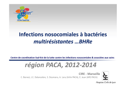 Infections nosocomiales à bactéries multirésistantes