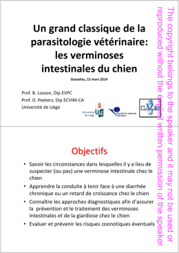 les verminoses intestinales du chien - Parasites-Exit