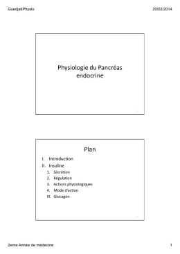 Physiologie du Pancréas endocrine Plan