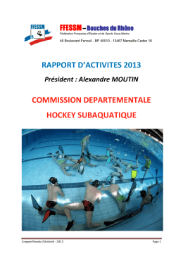 rapport commission hockey subaquatique