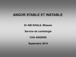 ANGOR STABLE ET INSTABLE - ifsi angers promotion 2013-2016
