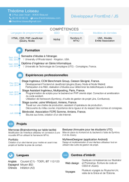 CV - Français - 13.04.2014.pages