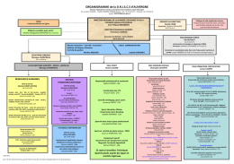 Organigrammme détaillé 2ème semestre 2014