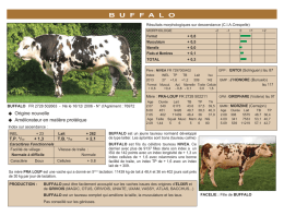 BUFFALO - Okapi P.4 2013 (Page 1)