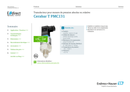 Cerabar T PMC131 (PDF 2,24 MB) - E-direct