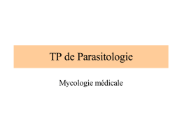 TP mycologie