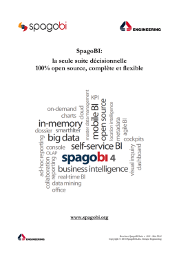 SpagoBI: la seule suite décisionnelle 100% open
