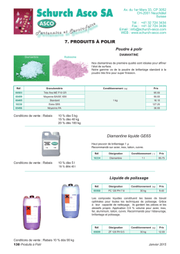 Poudre &agrave; polir