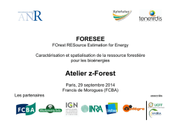 Francis de Morogues FCBA - FORESEE Forest Resource Estimation