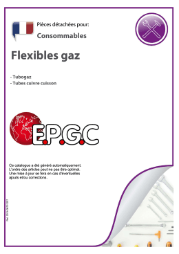 Flexibles gaz