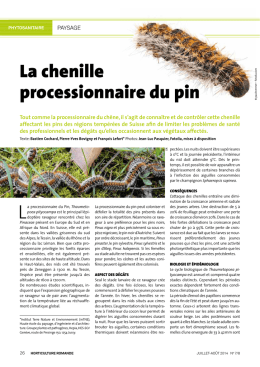 PROCESSIONNAIRE PIN HR 07-2014 - Hepia - HES