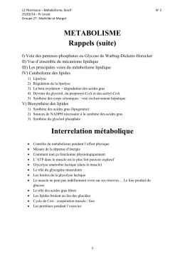 METABOLISME Rappels (suite) Interrelation