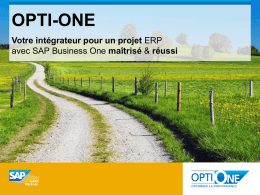 SAP Business One - OPTI-ONE