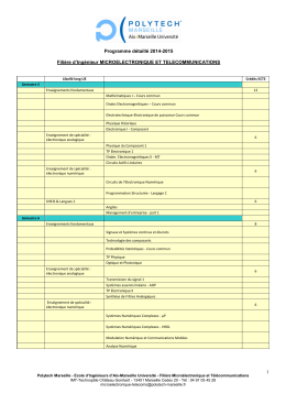 Programme détaillé de la filière - Polytech marseille