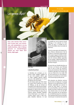 Genre Apis - Espace abeilles