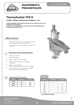 Thermofusible TFS 5