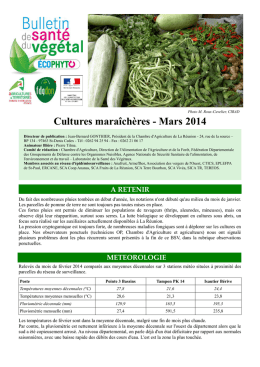 Cultures maraicheres Mars 2014 - Bulletin de santé du végétal