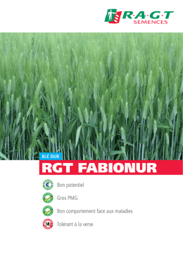RGT FABIONUR - RAGT Semences