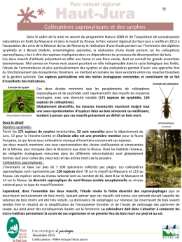 Etude des coléoptères saproxyliques et des syrphes du Risoux et du