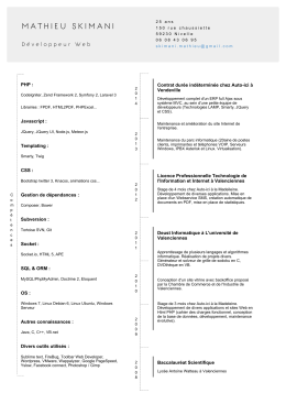 Version PDF - mathieu skimani