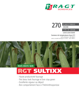 RGT SULTIXX - RAGT Semences