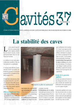La stabilité des caves - Les Cavités Souterraines 37