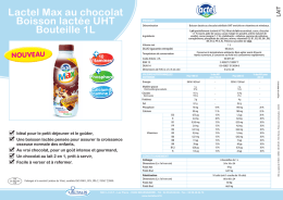 Lactel Max au chocolat Boisson lactée UHT Bouteille 1L
