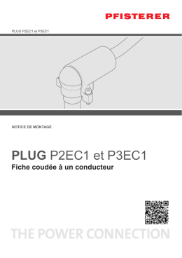 PLUG P2EC1 et P3EC1