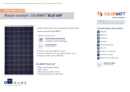 Module standard : SOLARWATT BLUE 60P