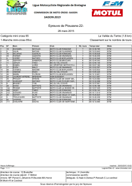 1 Manche mini cross 65cc plouasne