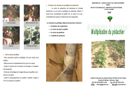 N°494 - Institut Technique de L`Arboriculture Fruitière et de la Vigne