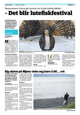 Hamar Dagblad, 23. mai: Lutefiskfestivalen i rute.