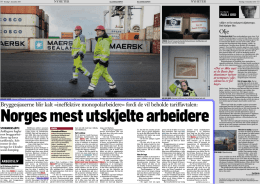 Norges mest utskjelte arbeidere