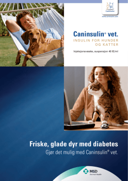 Veterinærbroshyr Caninsulin