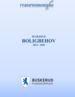 Bolig_Buskerud_FP2014.pdf(pdf)