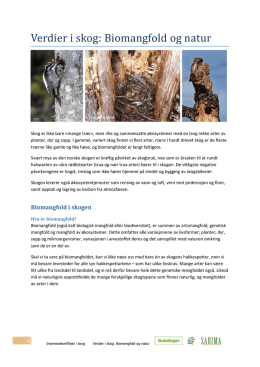 Verdier i skog: Biomangfold og natur