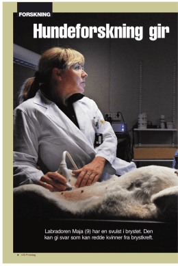 Hundekreftforskning ved Norges veterinærhøgskole