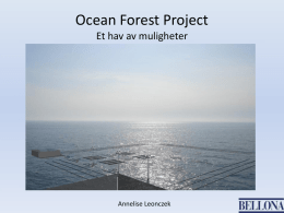 Ocean Forest Project