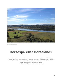 Børsesjø - eller Børseland.pdf