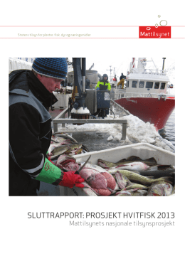 SLUTTRAPPORT: PROSJEKT HVITFISK 2013
