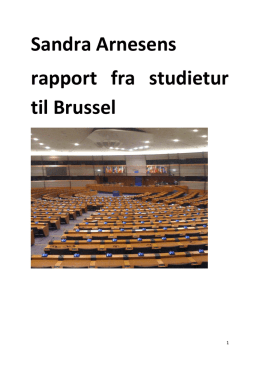 Sandra Arnesens rapport fra studietur til Brussel