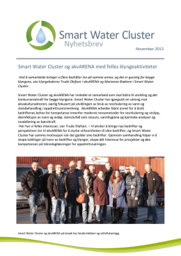 Smart Water Cluster nyhetsbrev 3, november 2013.