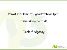 Torleif Algeroy Privat virksomhet – Teknikk og politikk