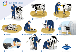 Trinn 1 i kalvefôring (pdf)