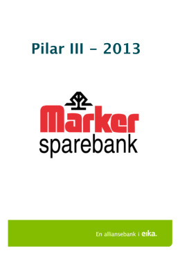Pilar 3 rapport 2013