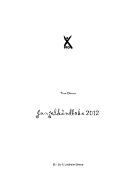 Her finner du også en pdf-utgave av boka fra 2012.